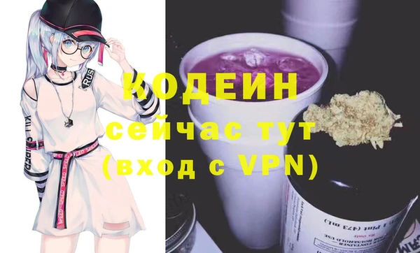 шишки Верея