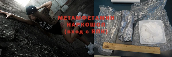 шишки Верея