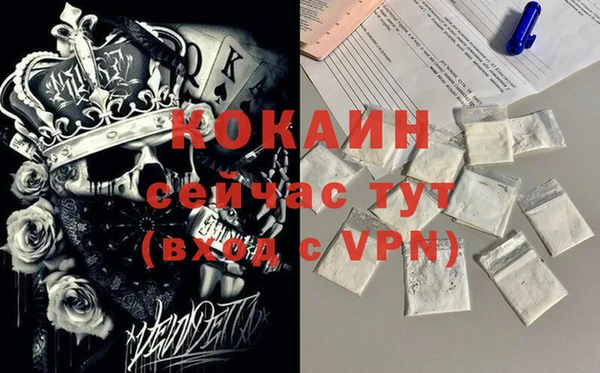 шишки Верея