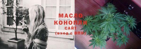 шишки Верея