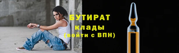 шишки Верея