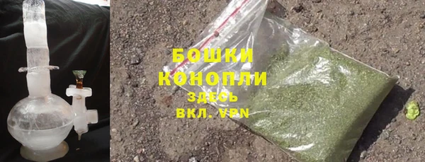 шишки Верея