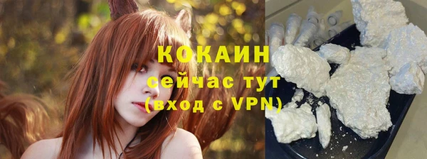 шишки Верея