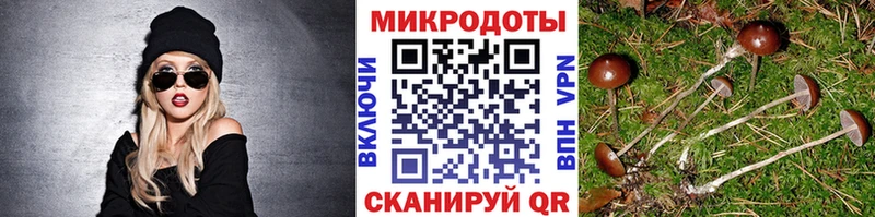 купить  сайты  Кашин  Галлюциногенные грибы прущие грибы 
